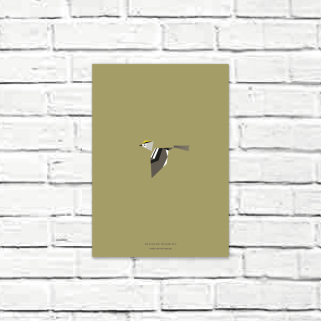 Regulus regulus A4 poster