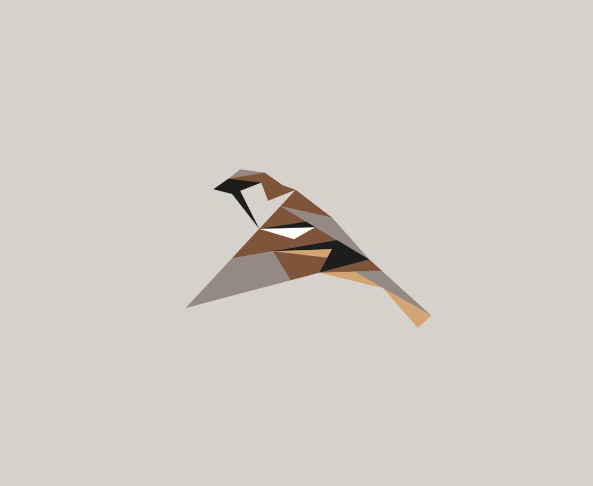 Passer domesticus
