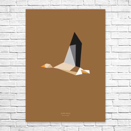 Anser anser A1 poster