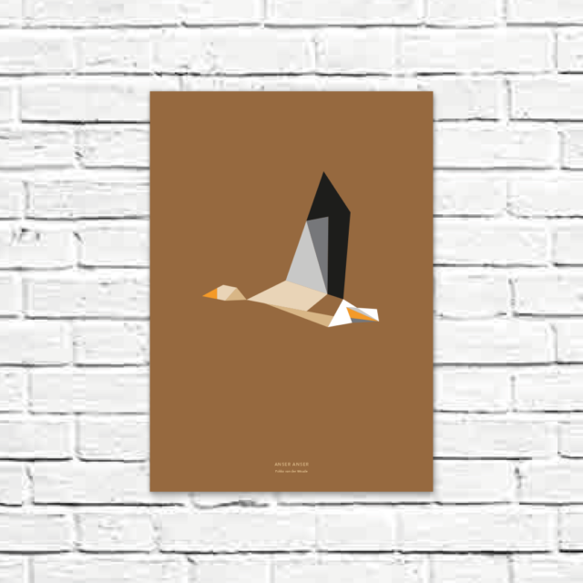 Anser anser A3 poster