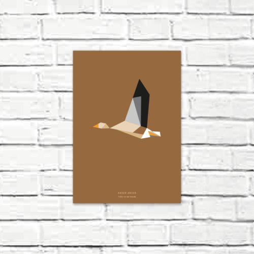 Anser anser A4 poster