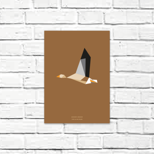 Anser anser A4 poster