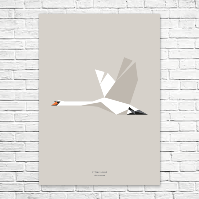 Cygnus olor A1 poster