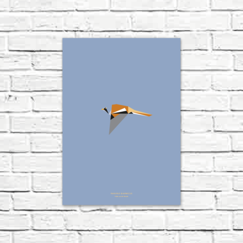 Panurus biarmicus A3 poster