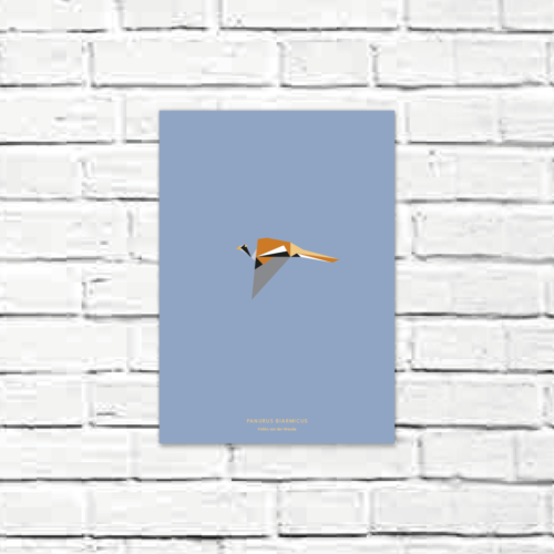 Panurus biarmicus A4 poster
