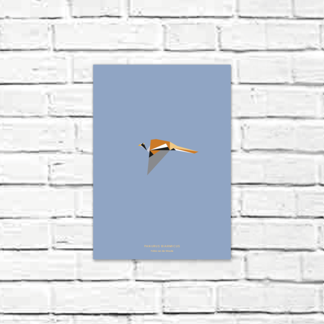 Panurus biarmicus A4 poster