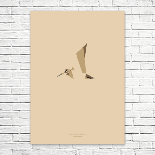 Scolopax rusticola A1 poster