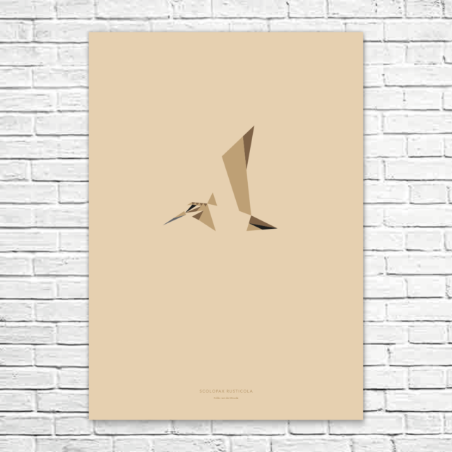 Scolopax rusticola A1 poster