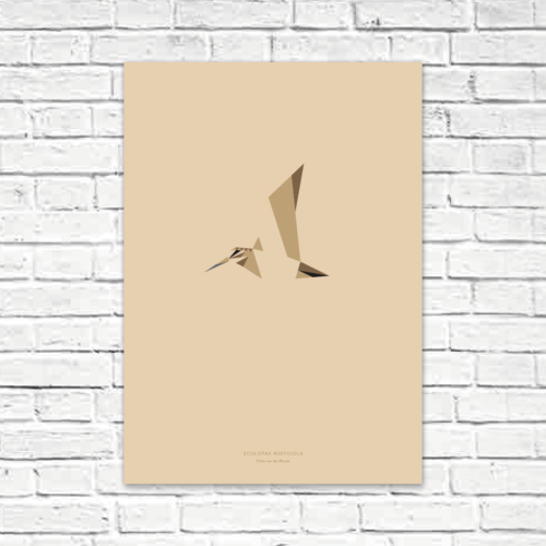 Scolopax rusticola A2 poster