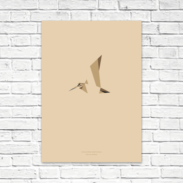Scolopax rusticola A2 poster