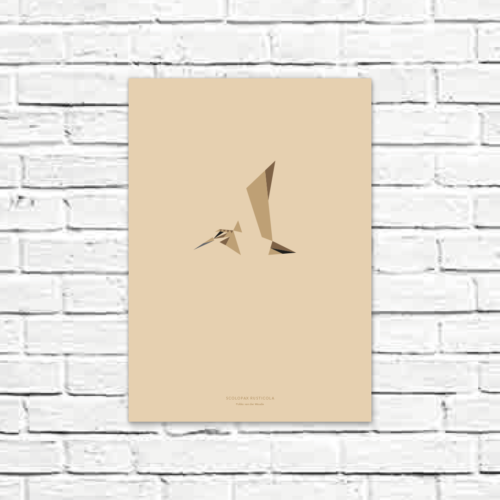 Scolopax rusticola A3 poster