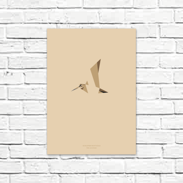 Scolopax rusticola A3 poster