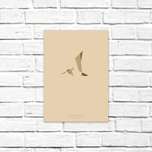 Scolopax rusticola A4 poster