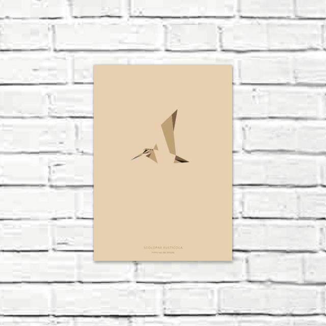 Scolopax rusticola A4 poster