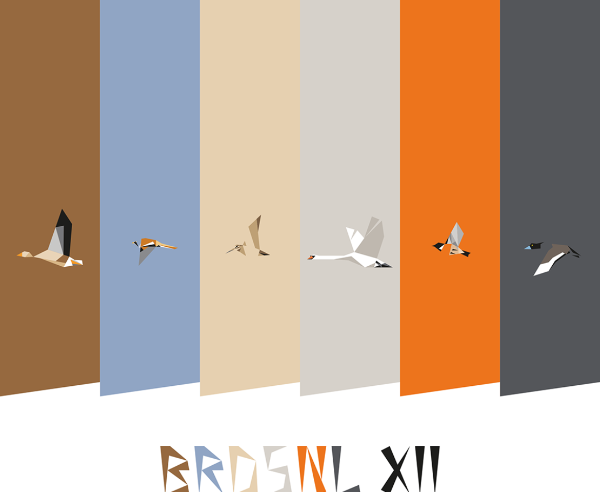 BRDSNL 12