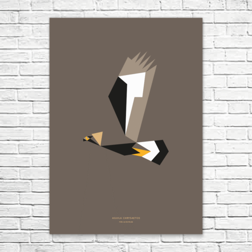 Aquila chrysaetos A1 poster
