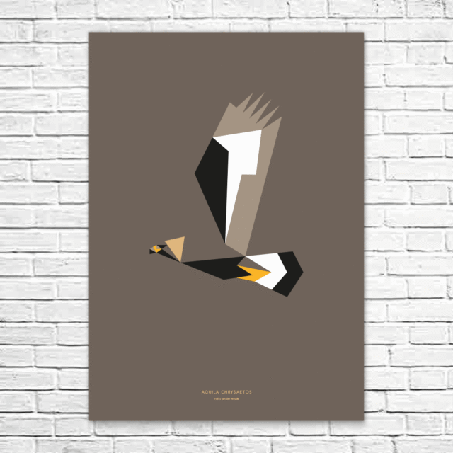 Aquila chrysaetos A1 poster