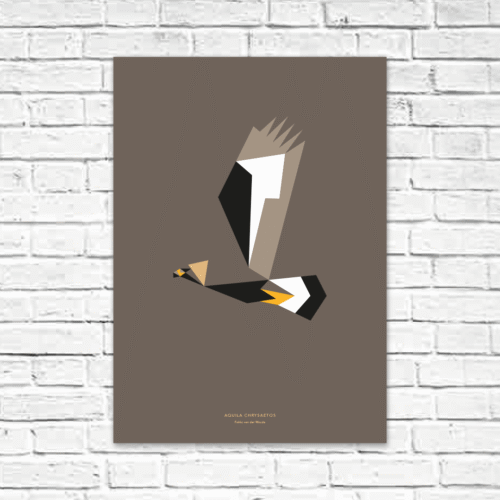 Aquila chrysaetos A2 poster