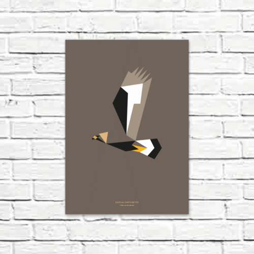 Aquila chrysaetos A3 poster