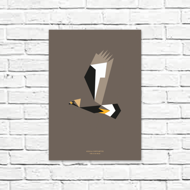 Aquila chrysaetos A3 poster