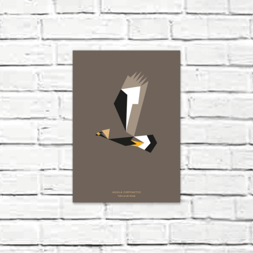Aquila chrysaetos A4 poster