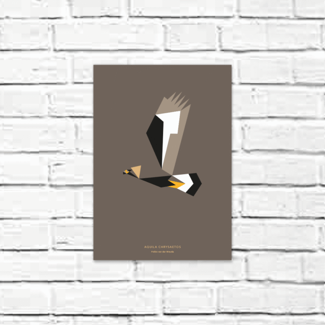 Aquila chrysaetos A4 poster