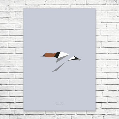 Aythya ferina A1 poster