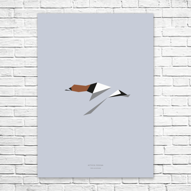 Aythya ferina A1 poster
