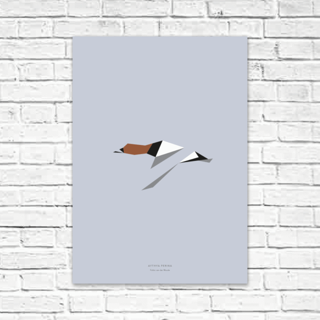 Aythya ferina A2 poster