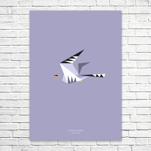 Cuculus canorus A1 poster