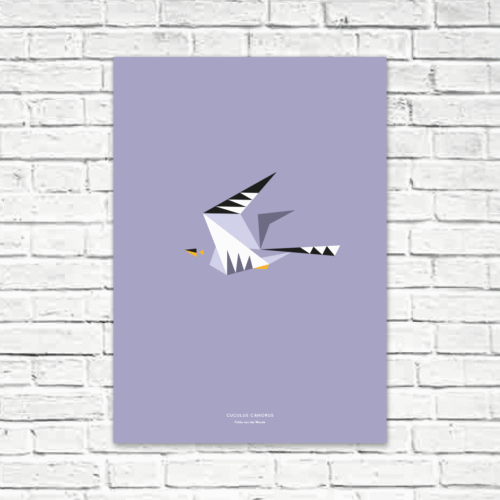 Cuculus canorus A2 poster