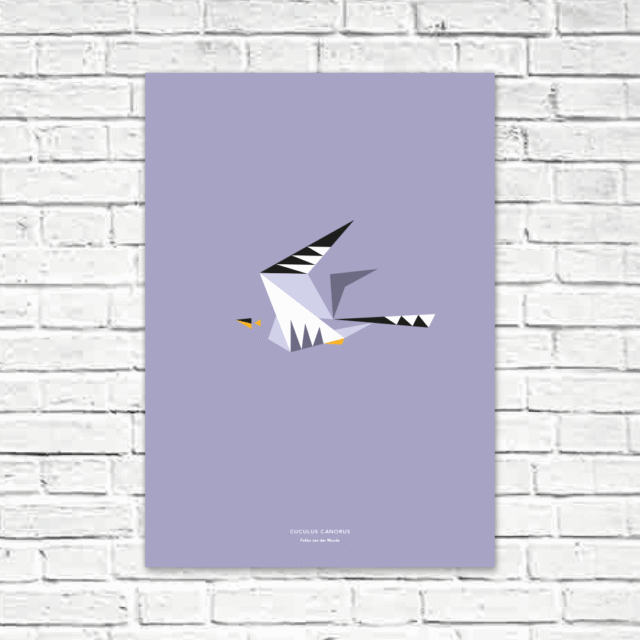 Cuculus canorus A2 poster