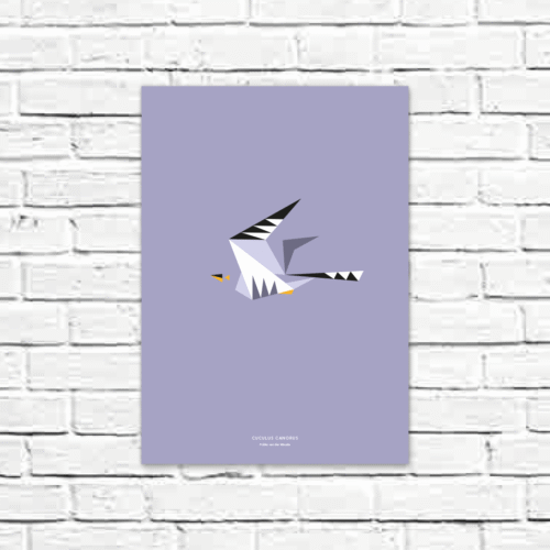 Cuculus canorus A3 poster