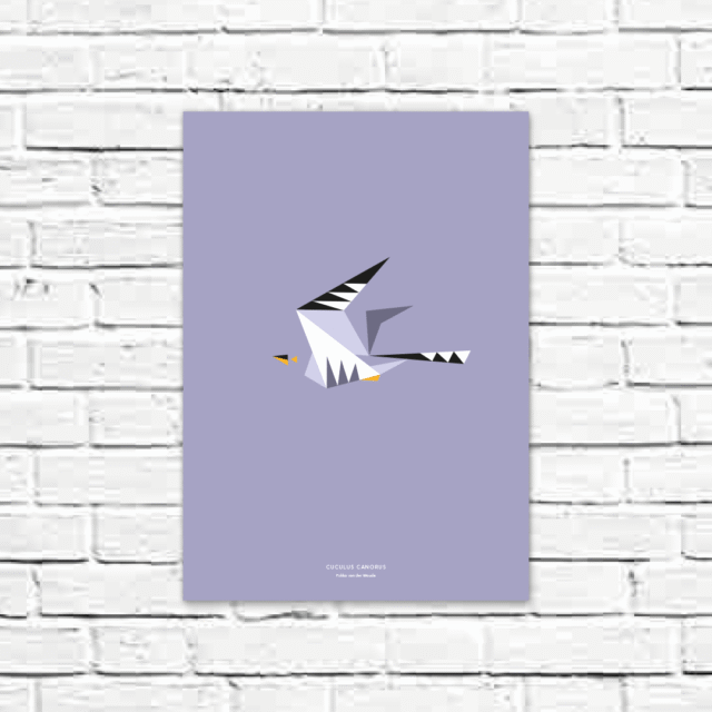 Cuculus canorus A3 poster