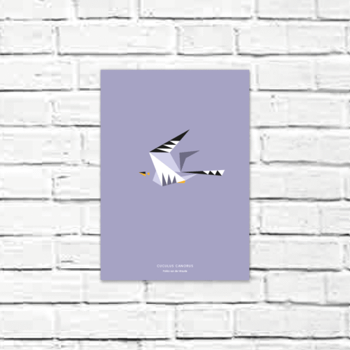 Cuculus canorus A4 poster