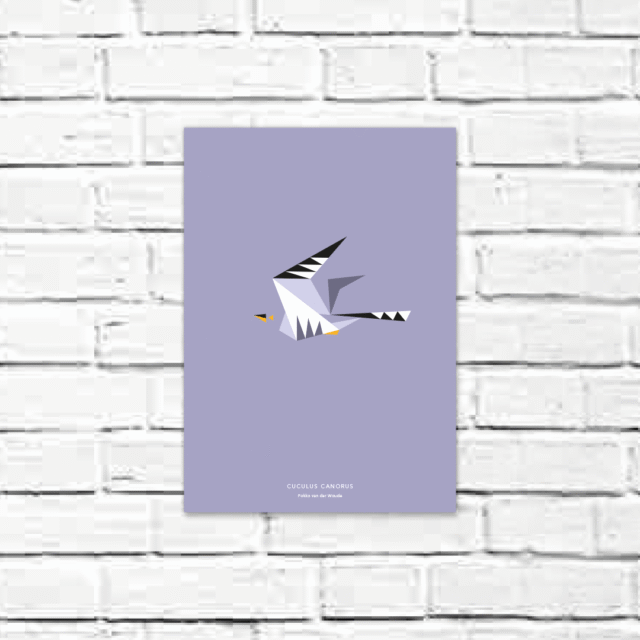 Cuculus canorus A4 poster