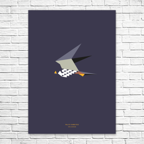 Falco subbuteo A1 poster