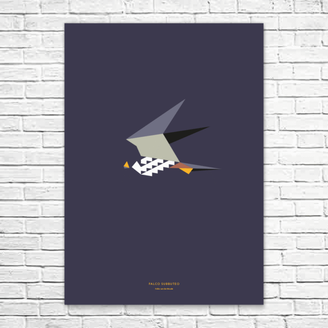 Falco subbuteo A1 poster