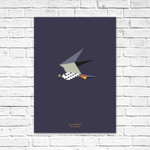 Falco subbuteo A2 poster