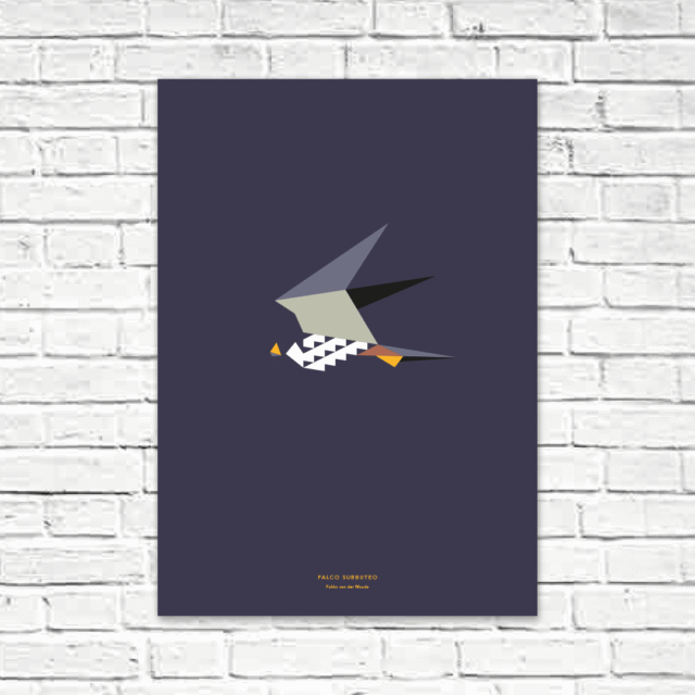 Falco subbuteo A2 poster