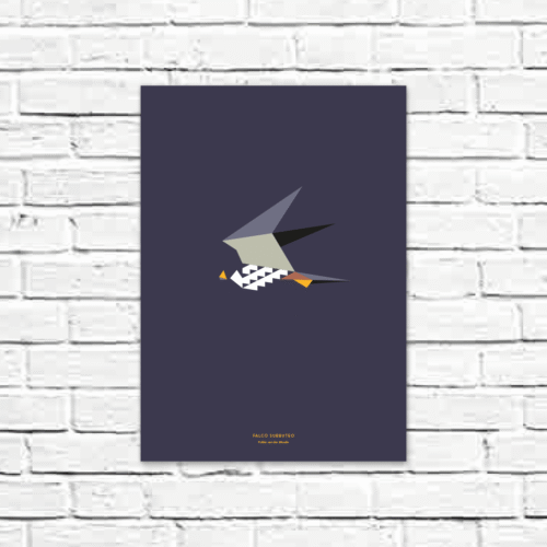 Falco subbuteo A3 poster