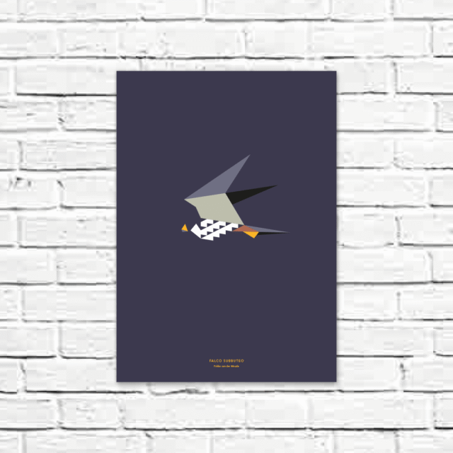 Falco subbuteo A3 poster