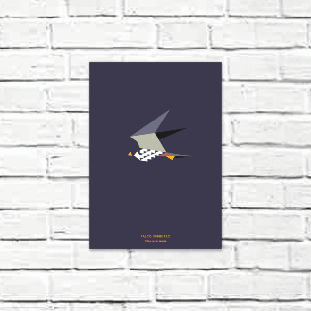 Falco subbuteo A4 poster