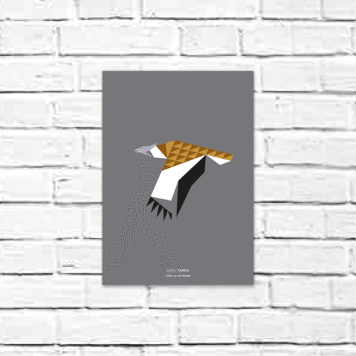 Otis tarda A4 poster
