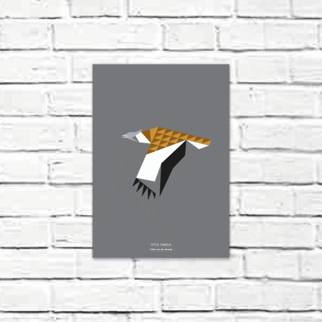 Otis tarda A4 poster