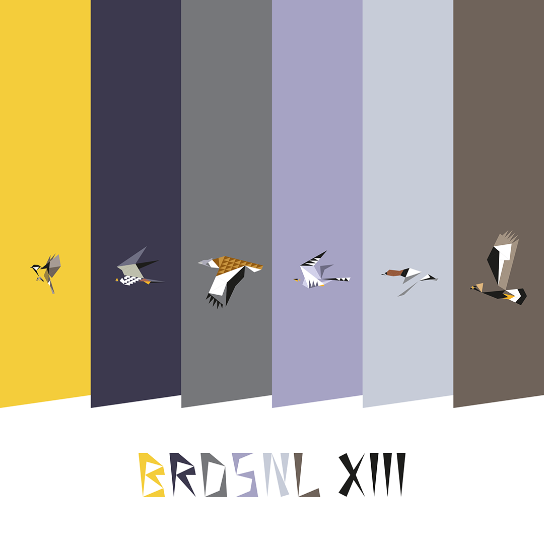 BRDSNL 13