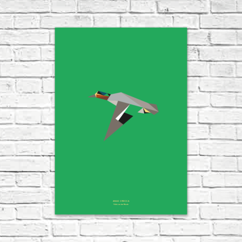 Anas crecca A2 poster