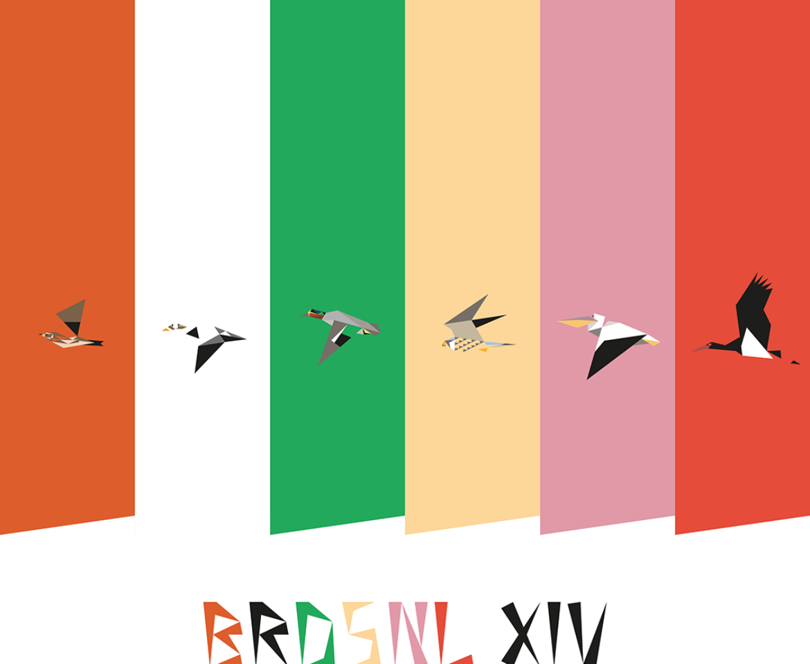 BRDSNL 14