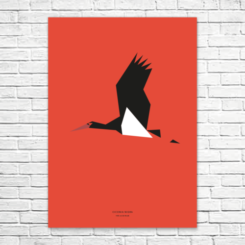 Ciconia nigra A1 poster