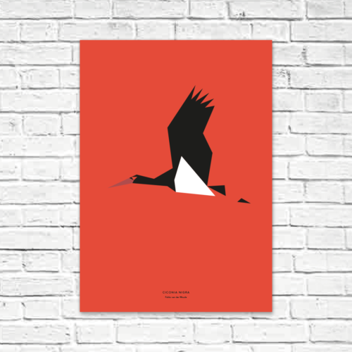 Ciconia nigra A2 poster